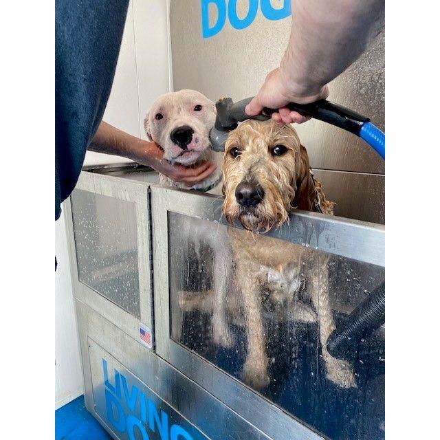 These two are the reason we met!!