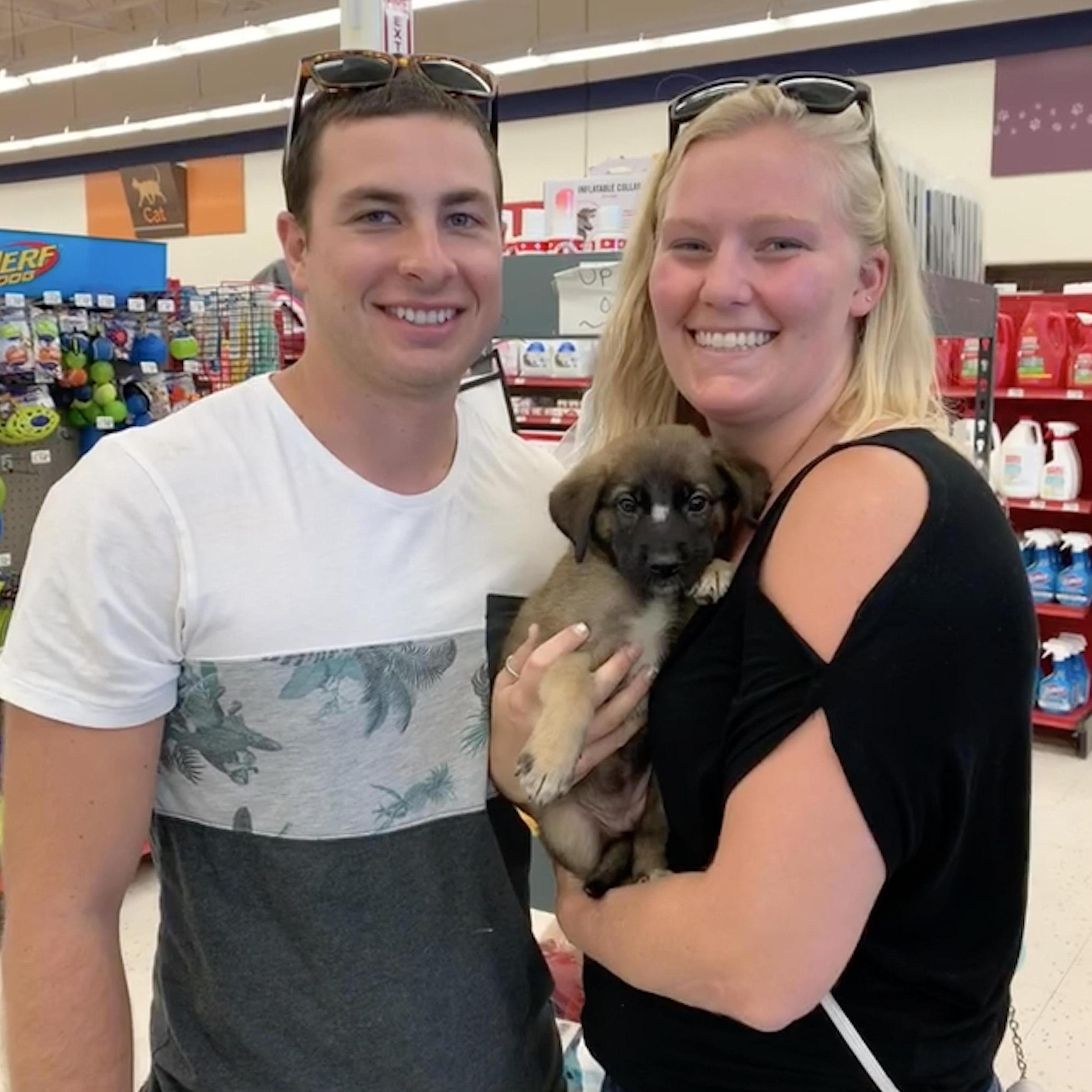 1st dog! We love our Harper girl. She's our little miss independent who only cuddles when she wants to. Despite the puppy teeth all over the furniture, we couldn't have asked for a better first dog.