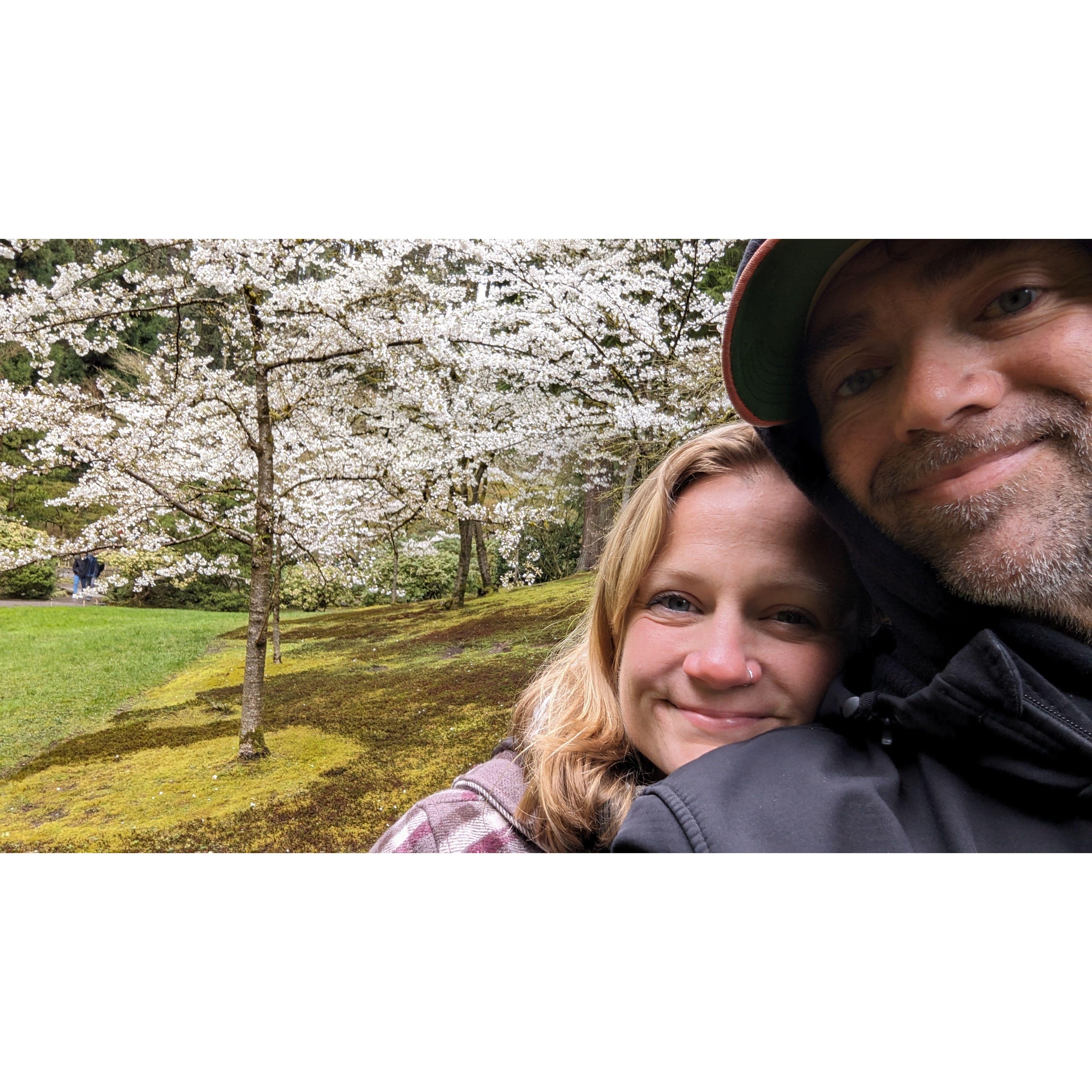 Cherry blossoms hold a special place in our hearts. I love seeking out all the places to view these amazing blooms.