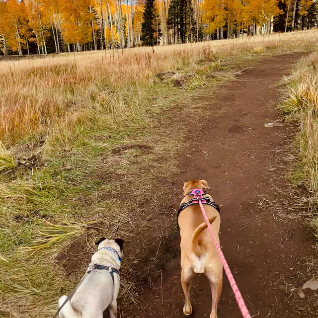 Flagstaff Trip