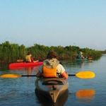 Kayak and Paddle Board Rentals