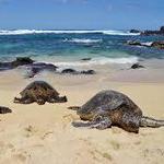 Kaulahao Beach