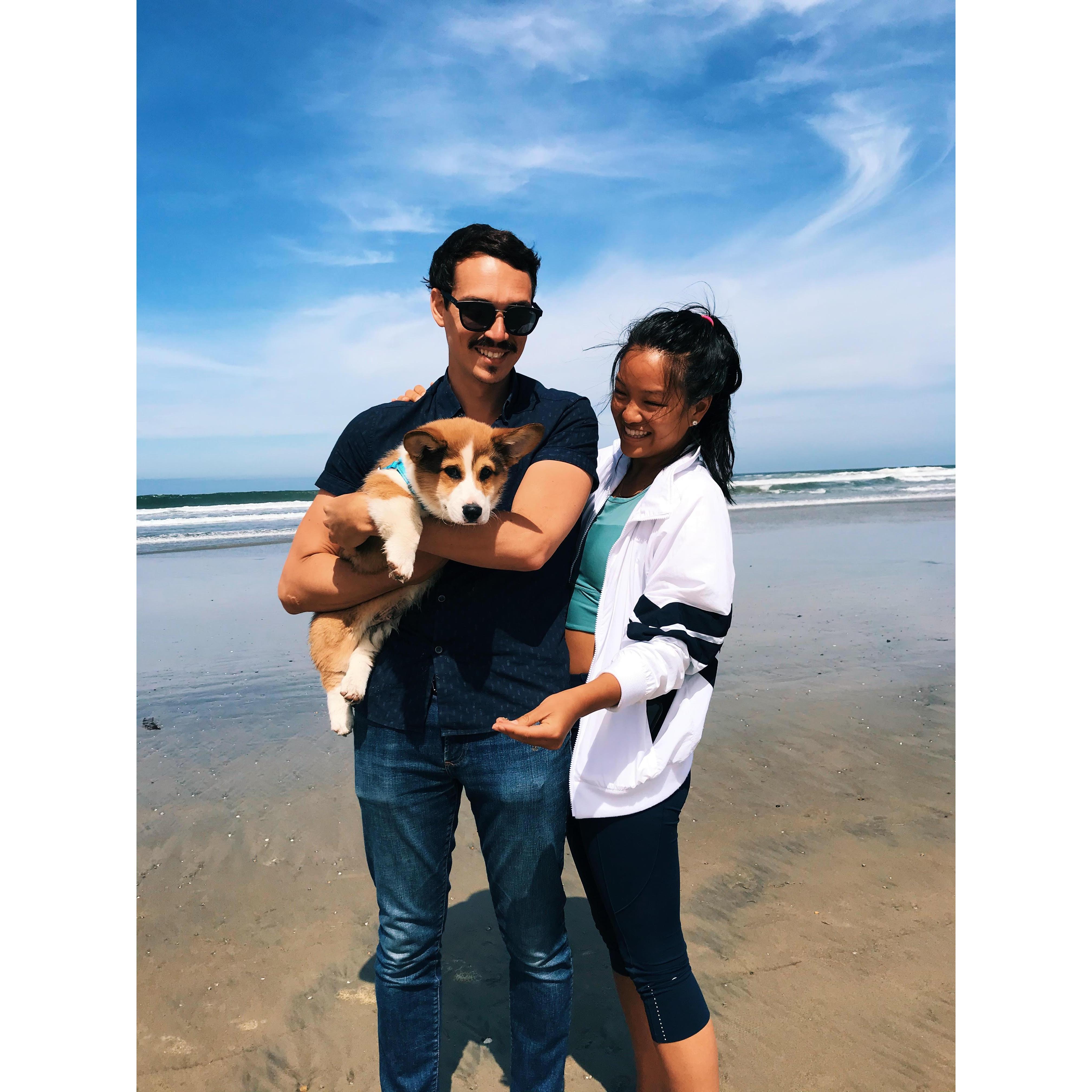 Walking with Flynn @ Del Mar Dog Beach