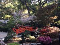 Descanso Gardens Visitor Center