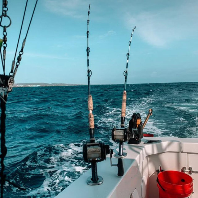 Honeymoon Deep Sea Fishing Trip 🐟