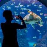 The Florida Aquarium