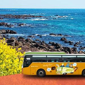 Jeju Bus Tour
