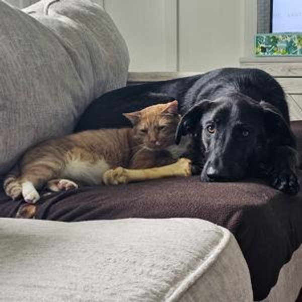Vasher and Locke Treat Jar ❤️