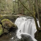 Whatcom Falls Park