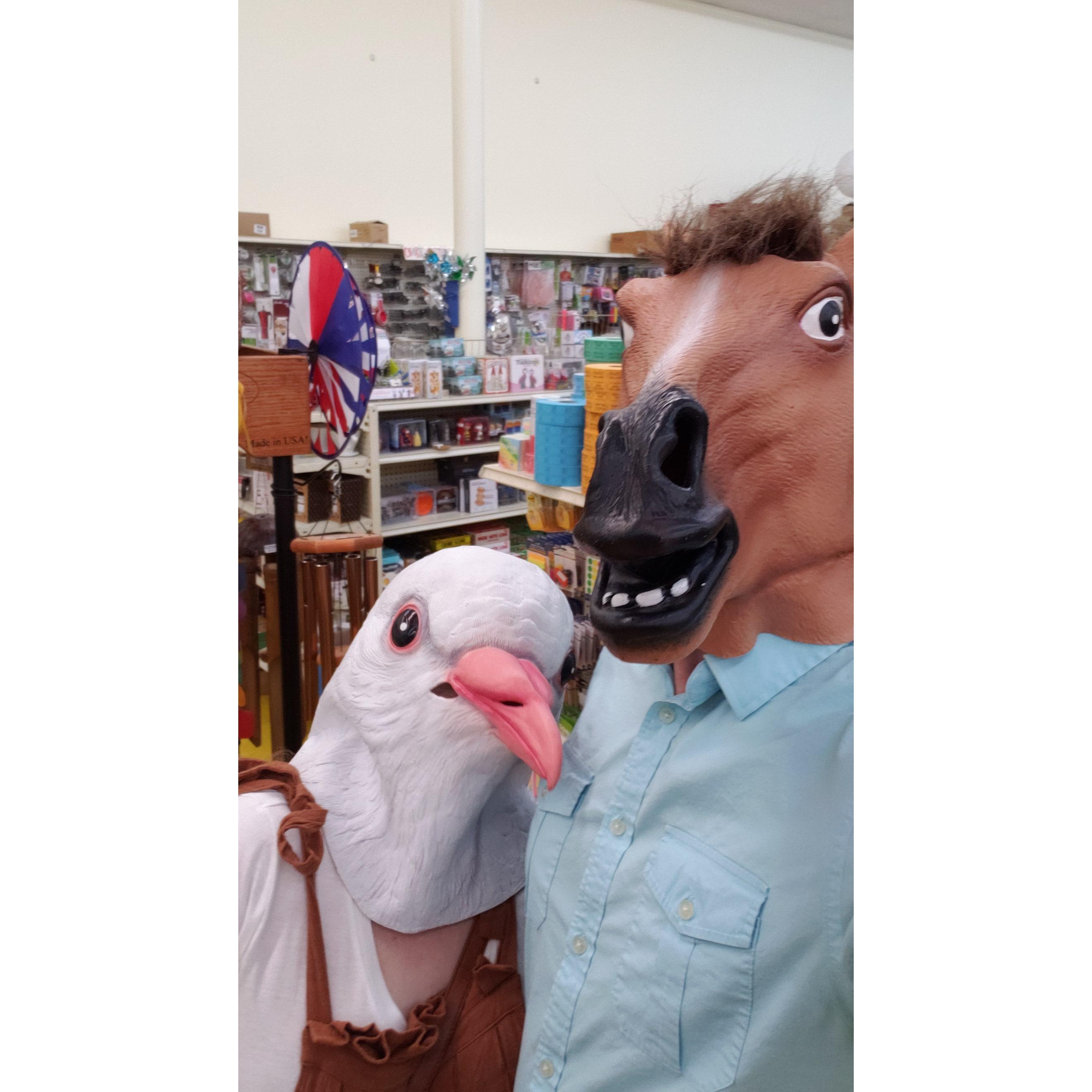 "A horse and a pigeon walk into a Richard's store..."