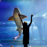 Oklahoma Aquarium