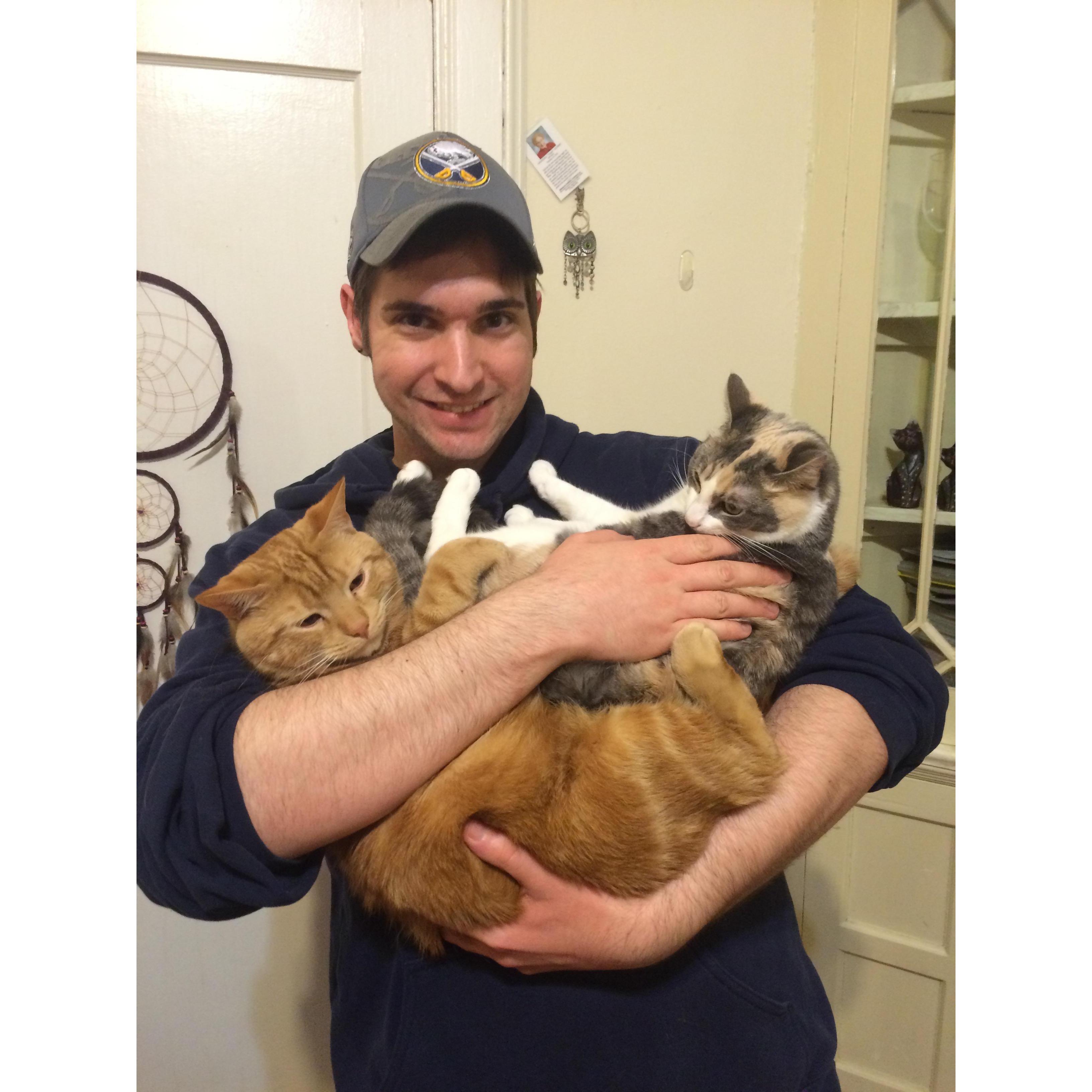 Multi Cats!