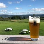 Steuben Brewing Company