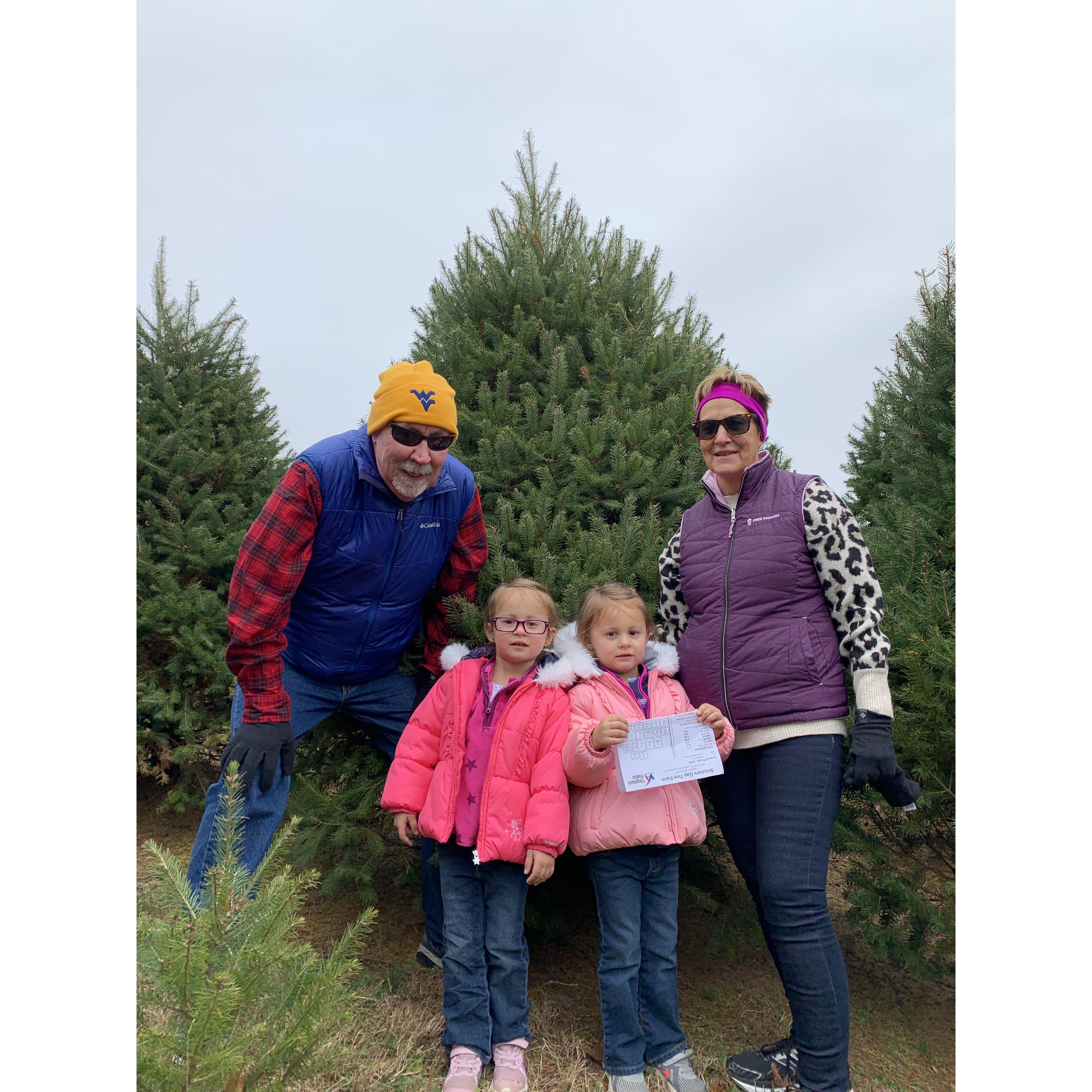 Christmas Tree Farm