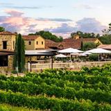Grape Creek Vineyards