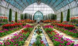 Como Park Zoo & Conservatory