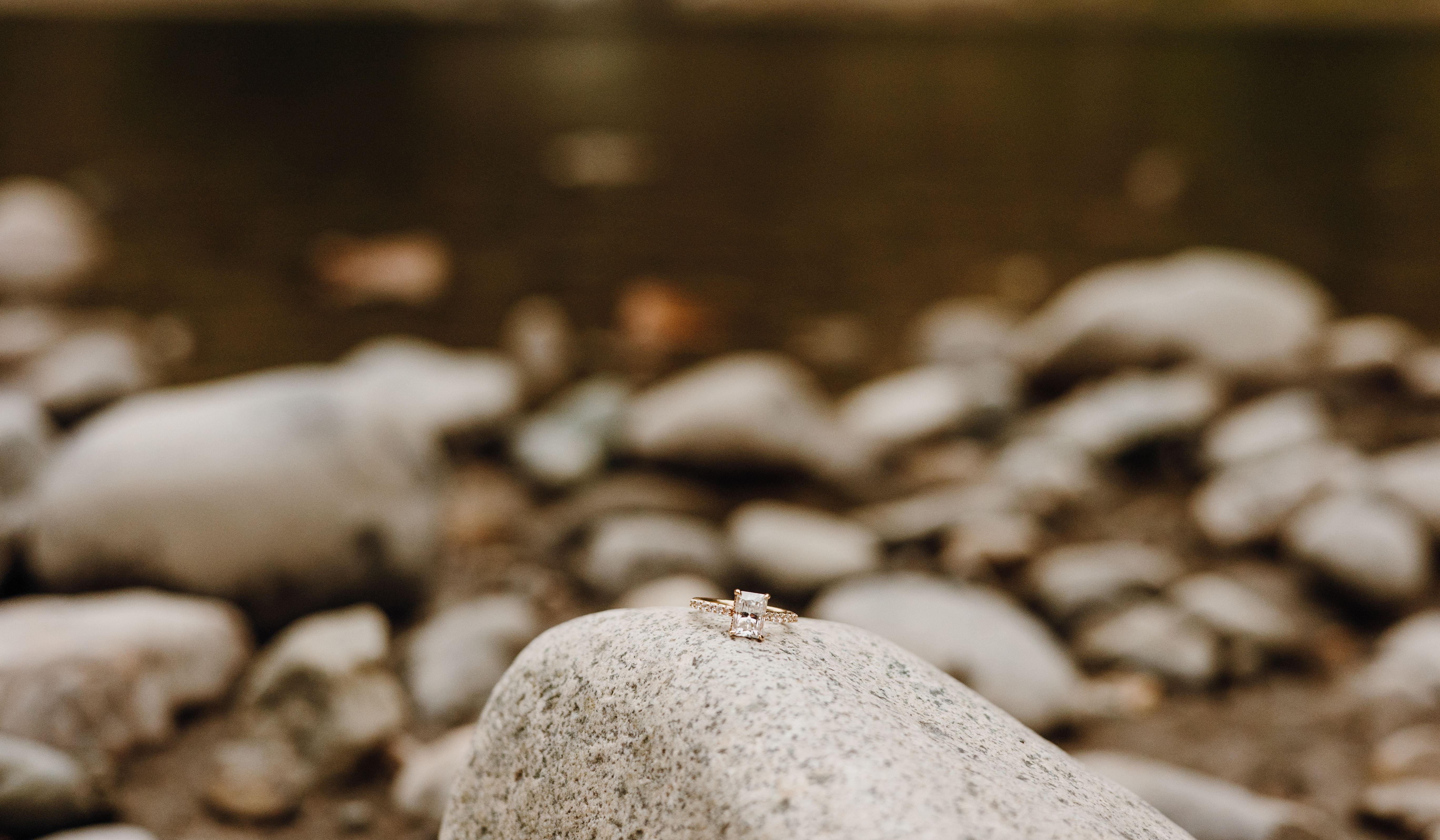 Hero Slideshow Image 4