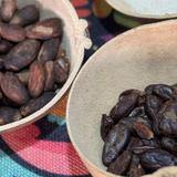 Chocolate Tasting and Crafting