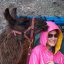 Llama Trecking Adventure