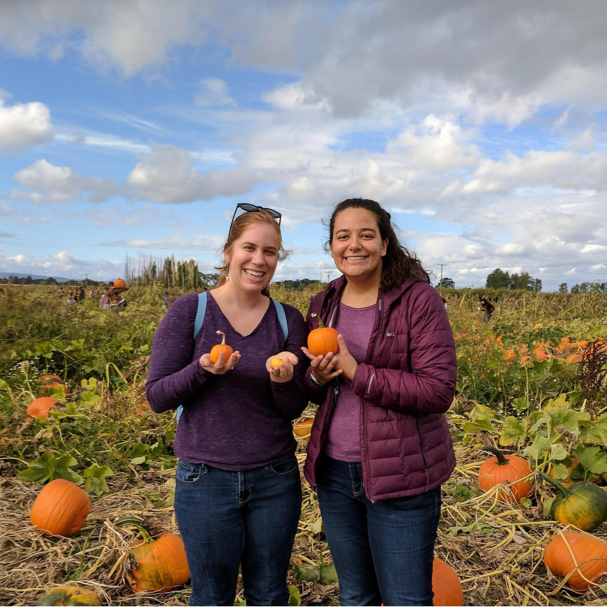 Only the lil-est of pumpkins for us!