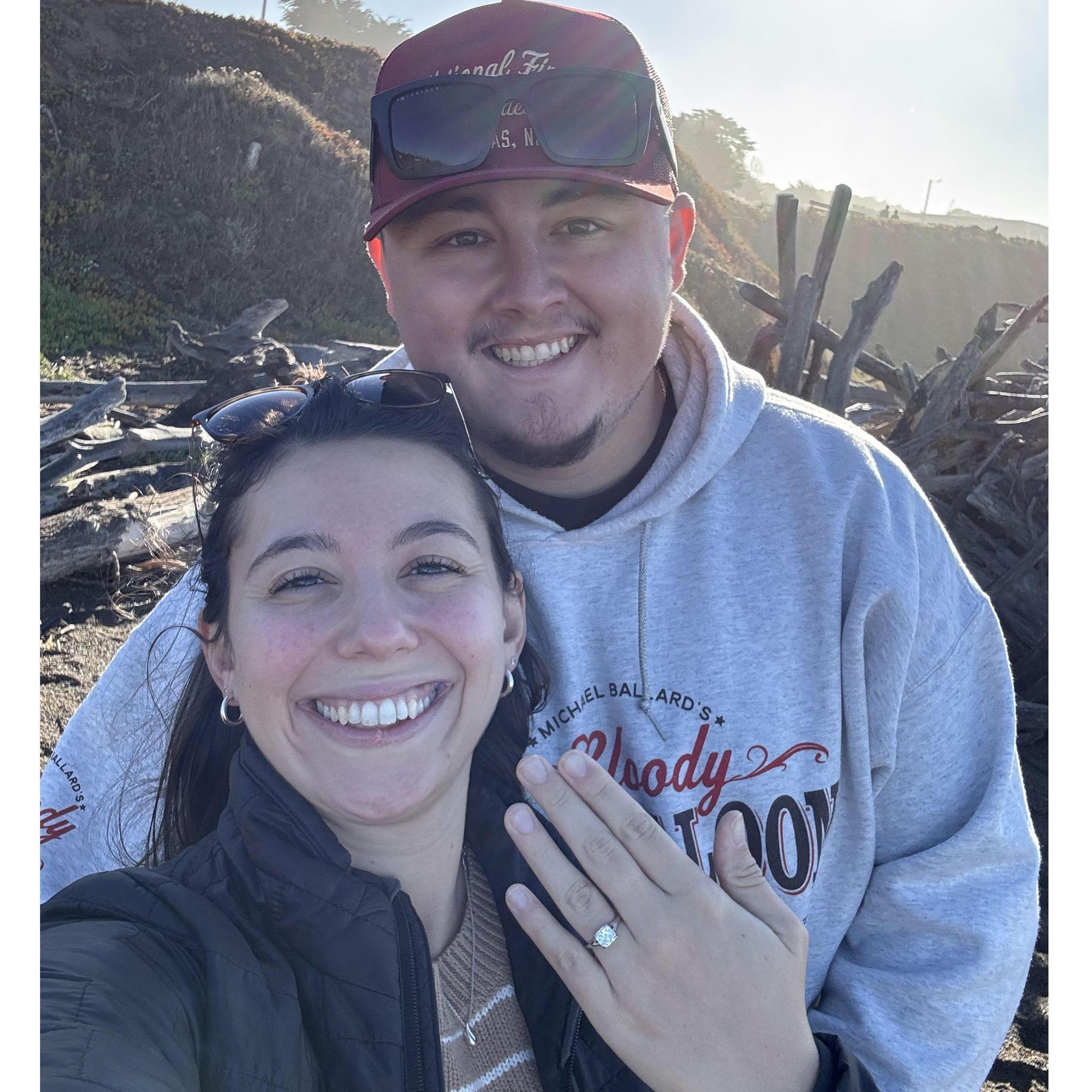 Best surprise proposal ever!! (2024)