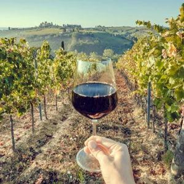 Honeymoon Wine Tasting Tour in Tuscany