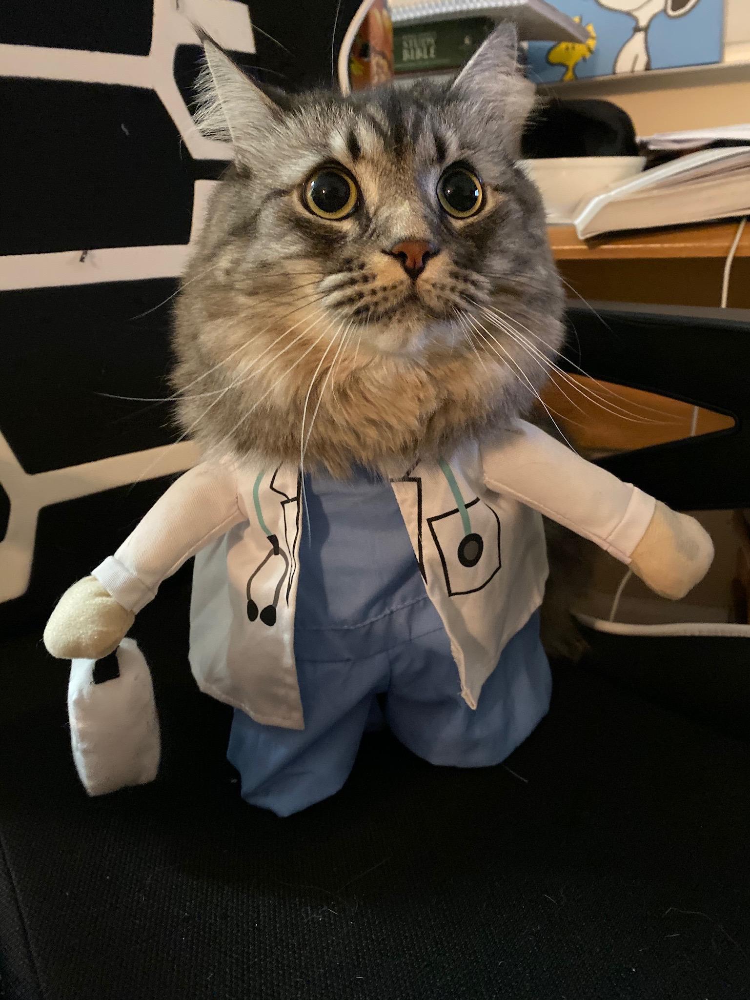 The Wedding Website of Anthony Hooper and Tina Pham