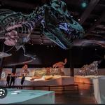 Houston Museum of Natural Science