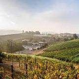 Fallbrook Winery