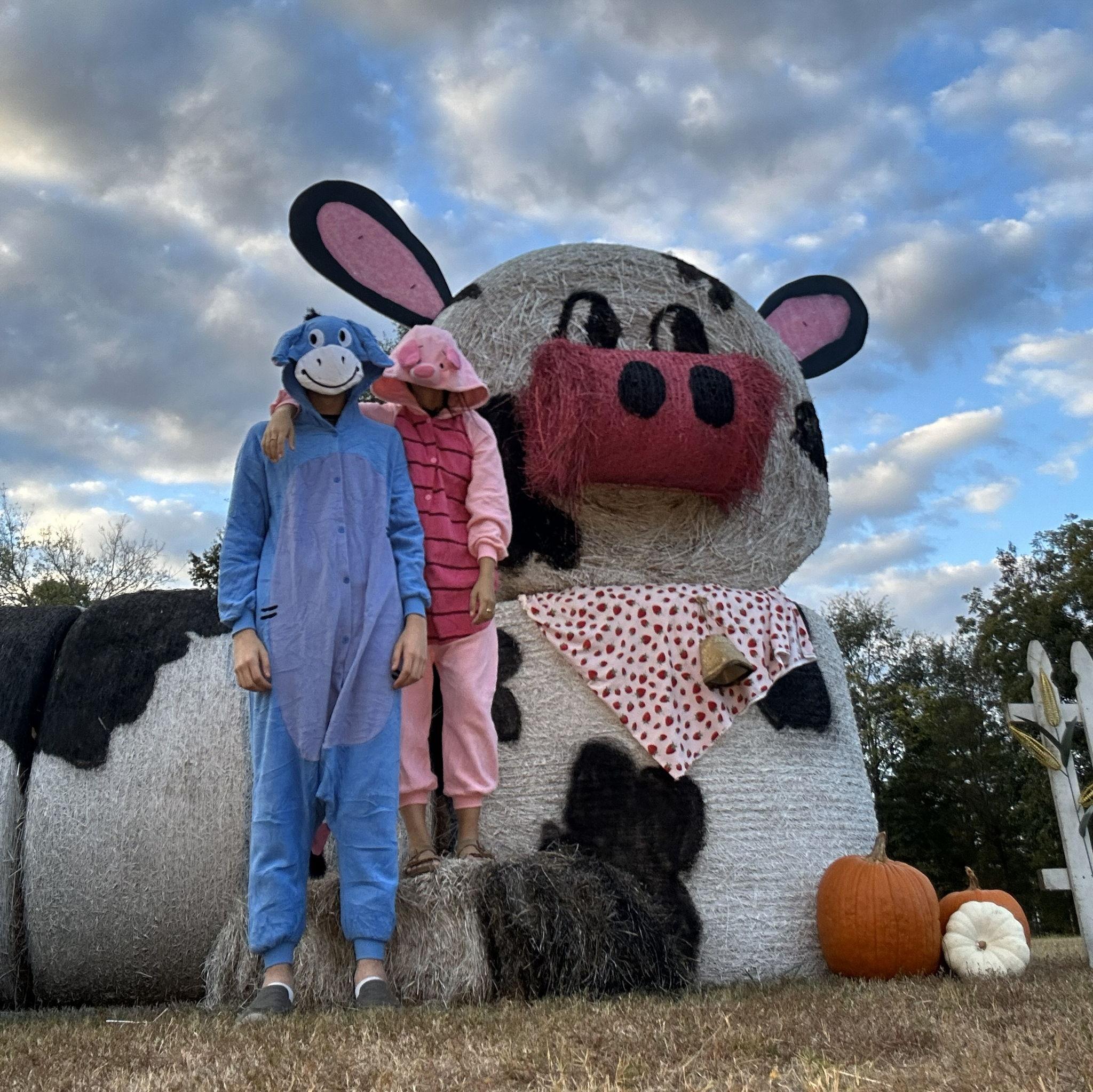 Matching onesies - Boyd was Eeyore & Joy was Piglet!