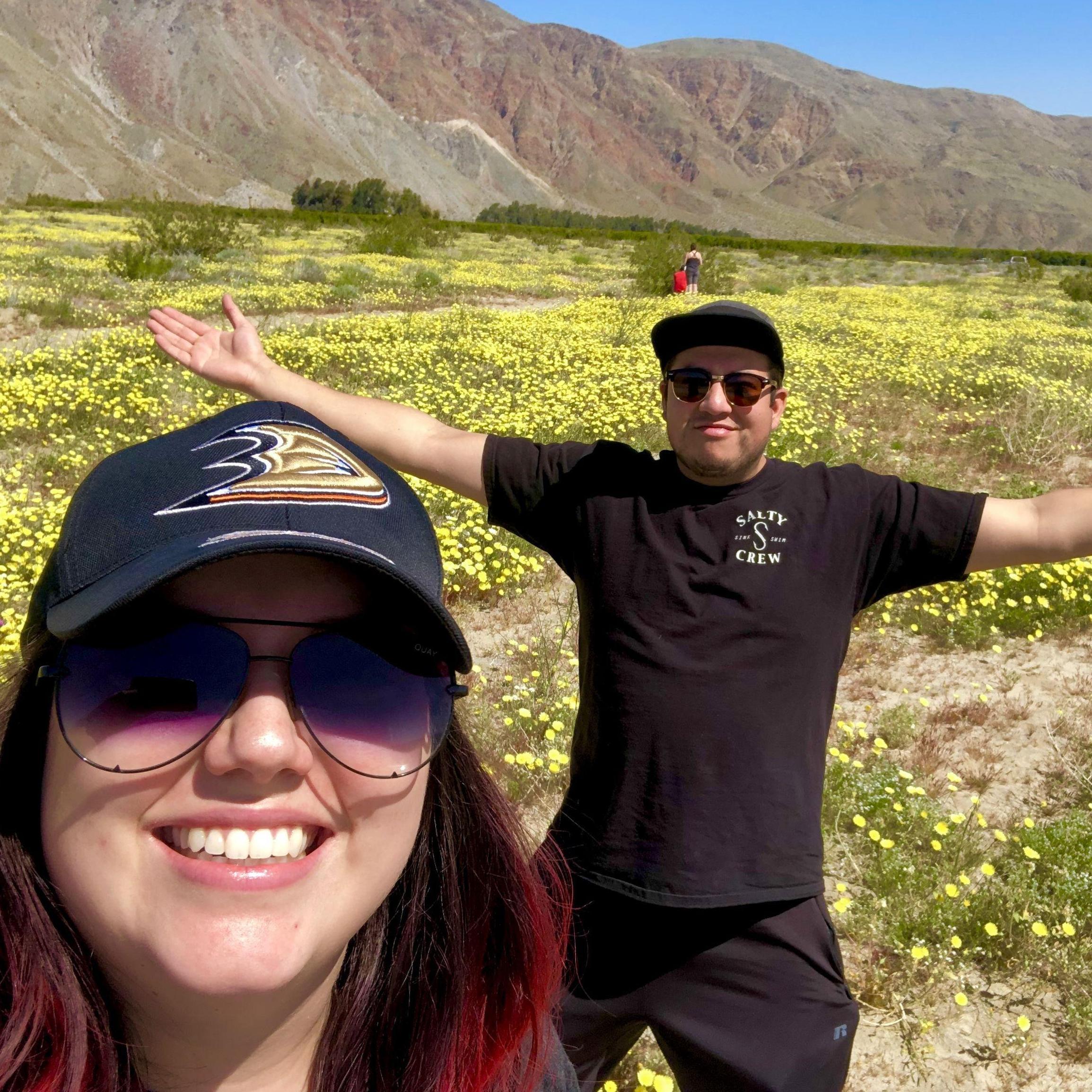 A camping trip to Anza Borrego park to see the wildflowers!