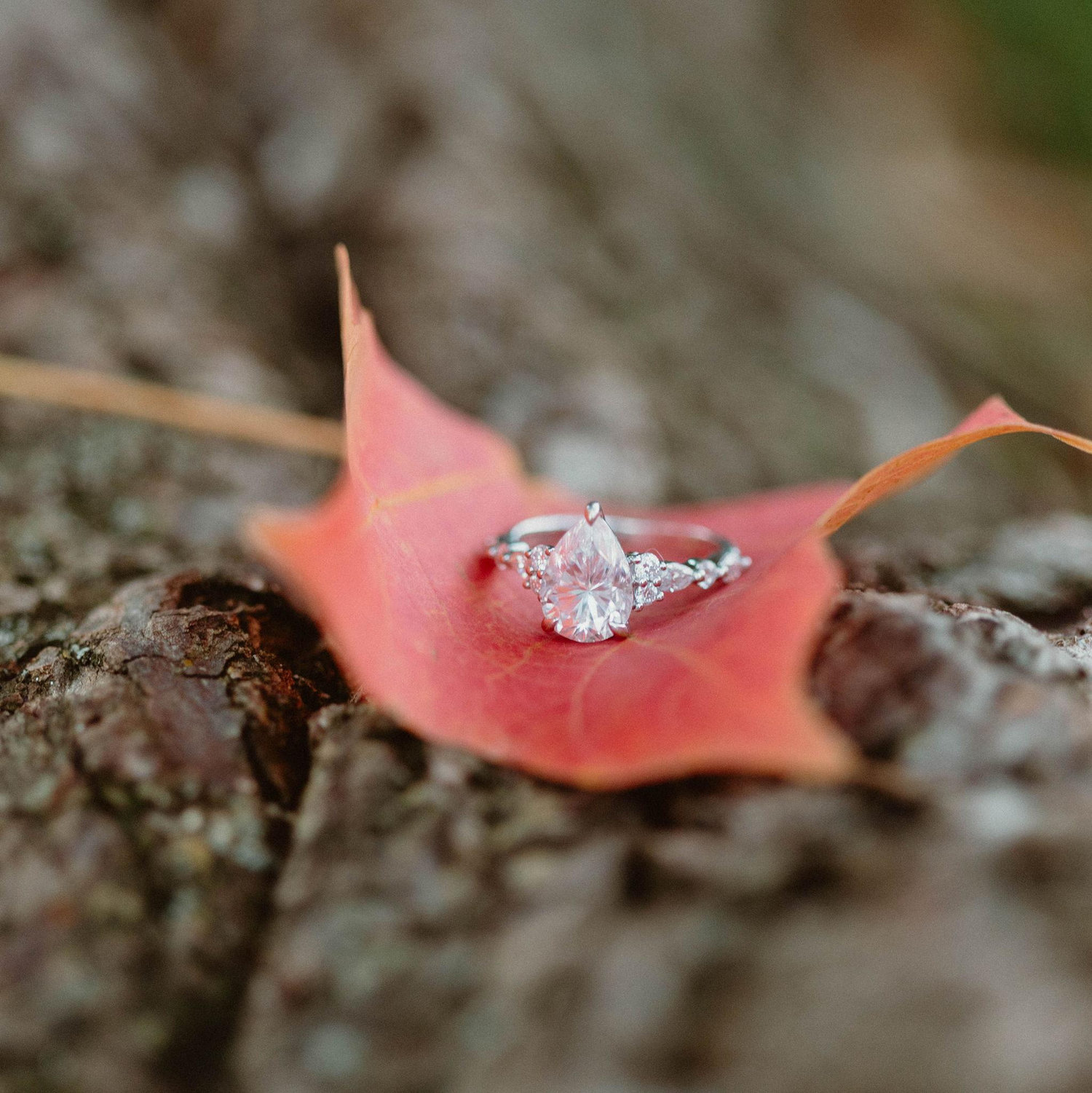 The gorgeous ring!!