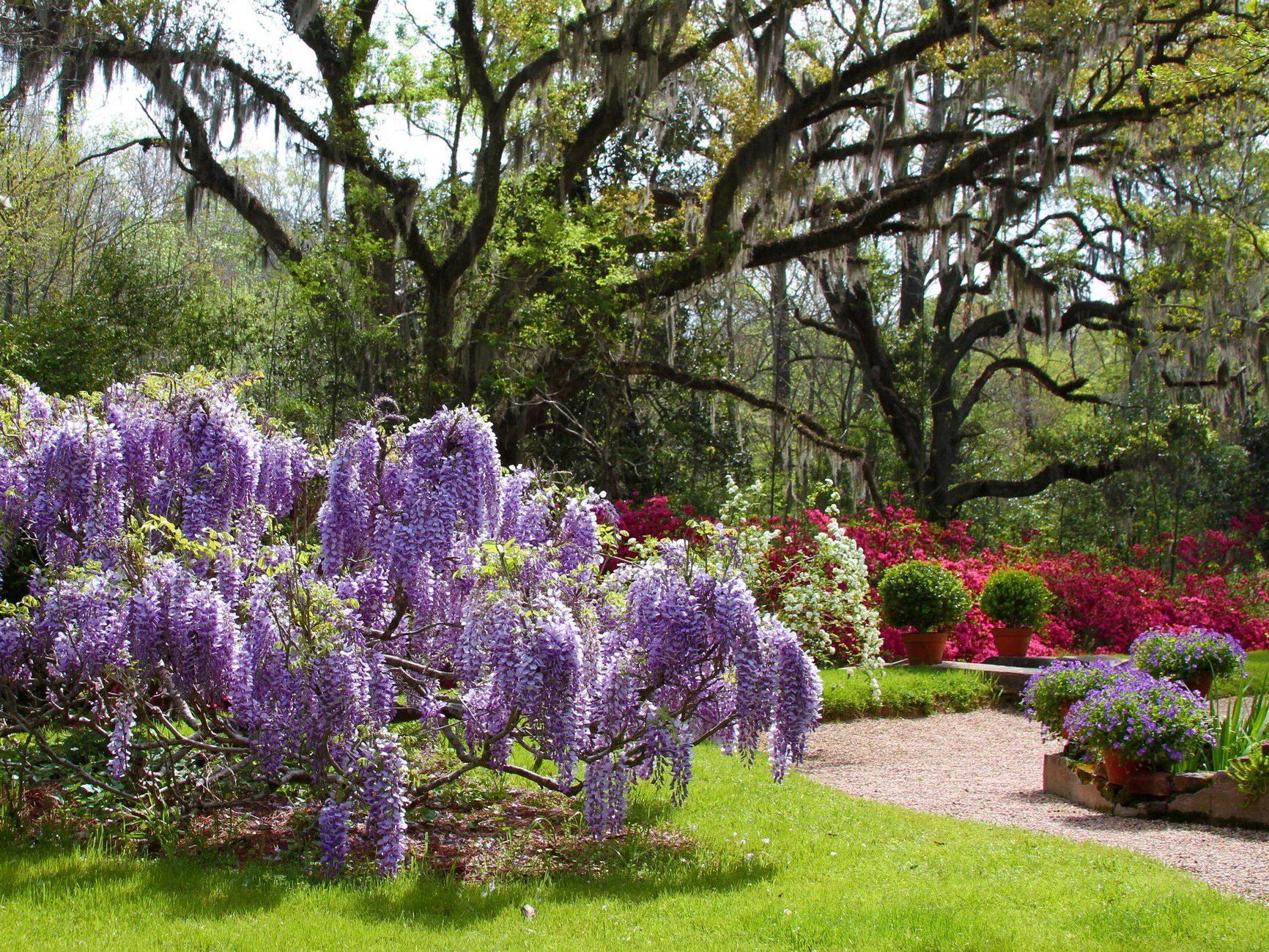 The Wedding Website of Cameron Dumas and Justin Whittenberg