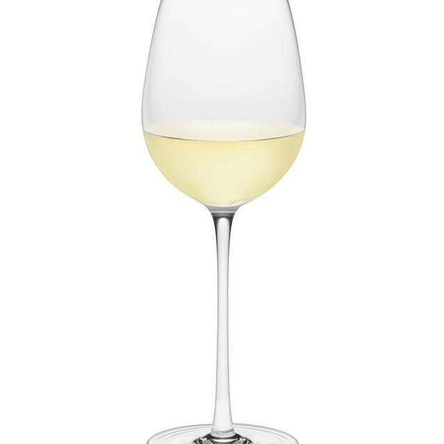 Williams Sonoma Reserve Sauvignon Blanc Glasses, Set of 2
