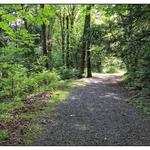 Clayburn Creek Trail