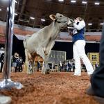 World Dairy Expo