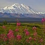 Denali National Park and Preserve