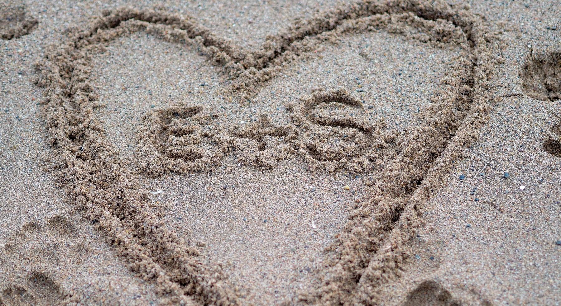 The Wedding Website of Elissa Viglione and Steve Viglione