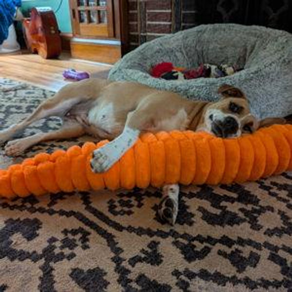 Tater Tot Toy Fund