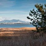 Benicia State Recreation Area