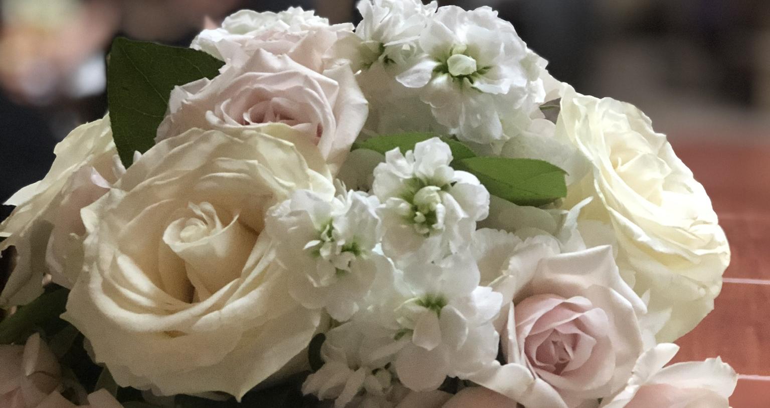 The Wedding Website of John Brandes and Kristin Brandes