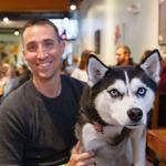 Metazoa Brewing Company