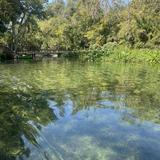 Wekiva Island