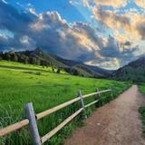 Hiking