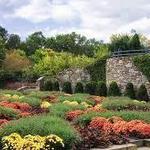 The North Carolina Arboretum
