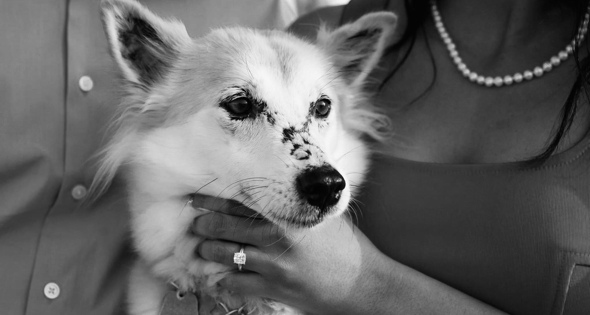 The Wedding Website of Claritess Sarangay and Michael Murphy