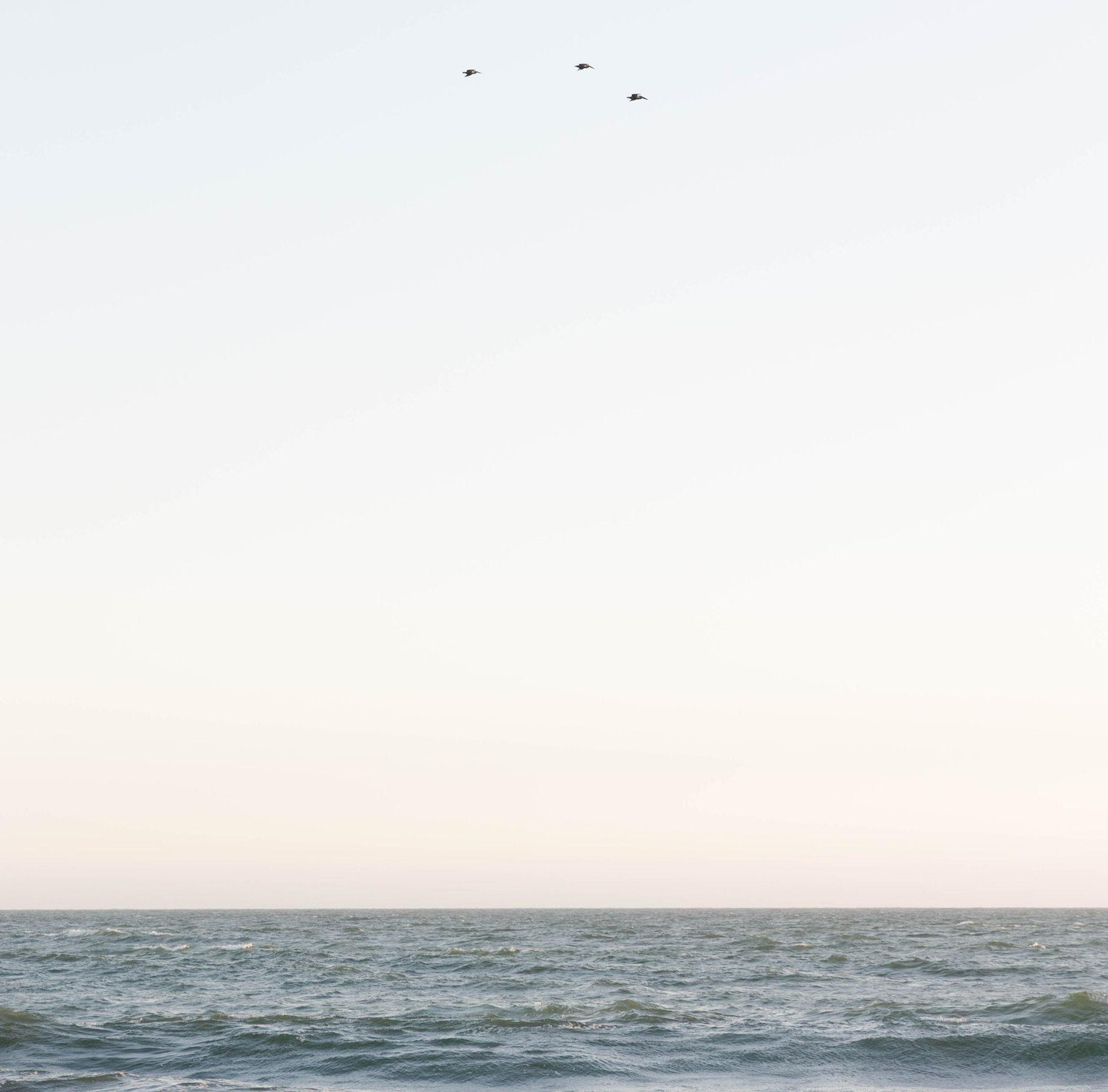 The Wedding Website of Carly Hunter and Matthew Meehleis