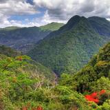 El Yunque National Forest