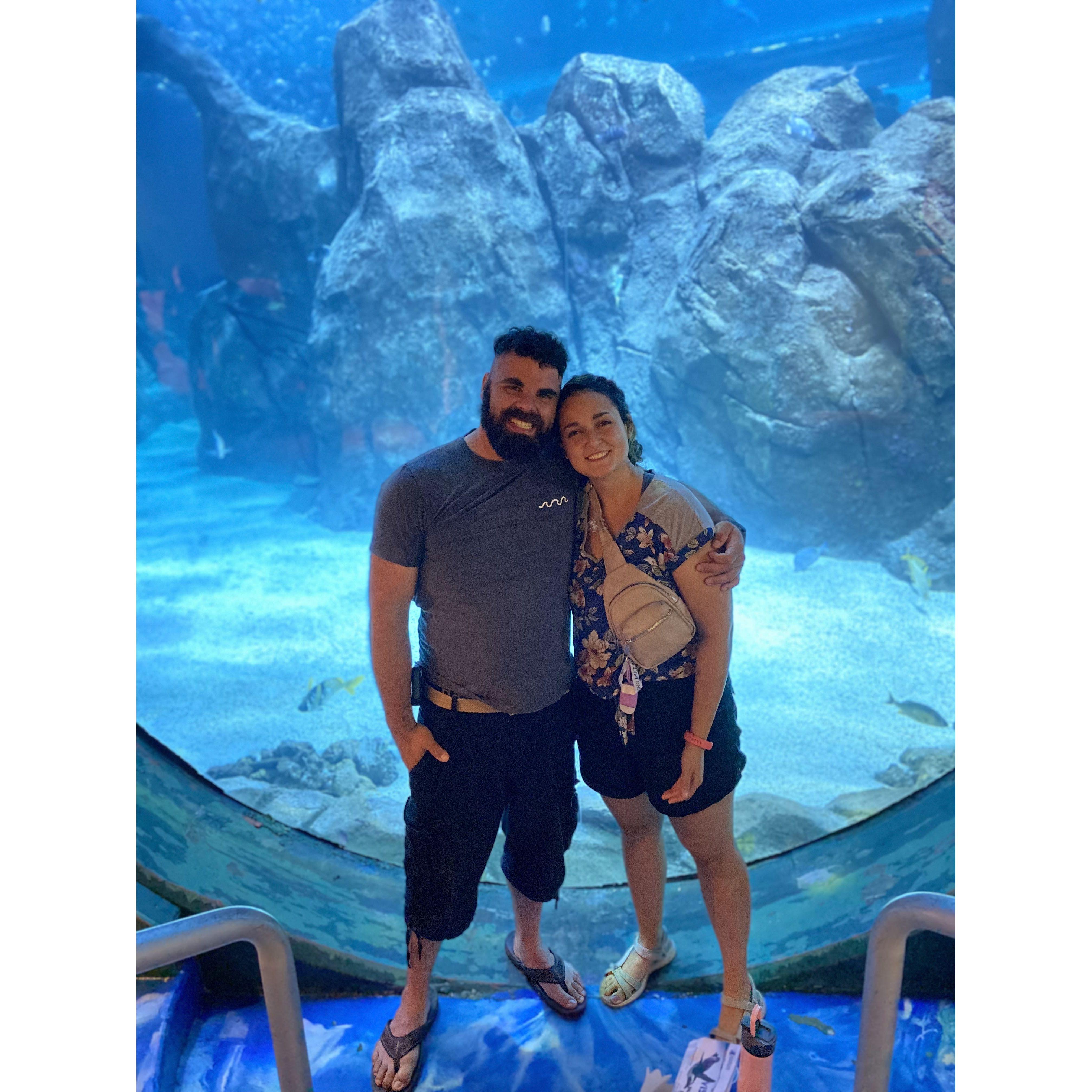 Camden Aquarium after VBS 2023