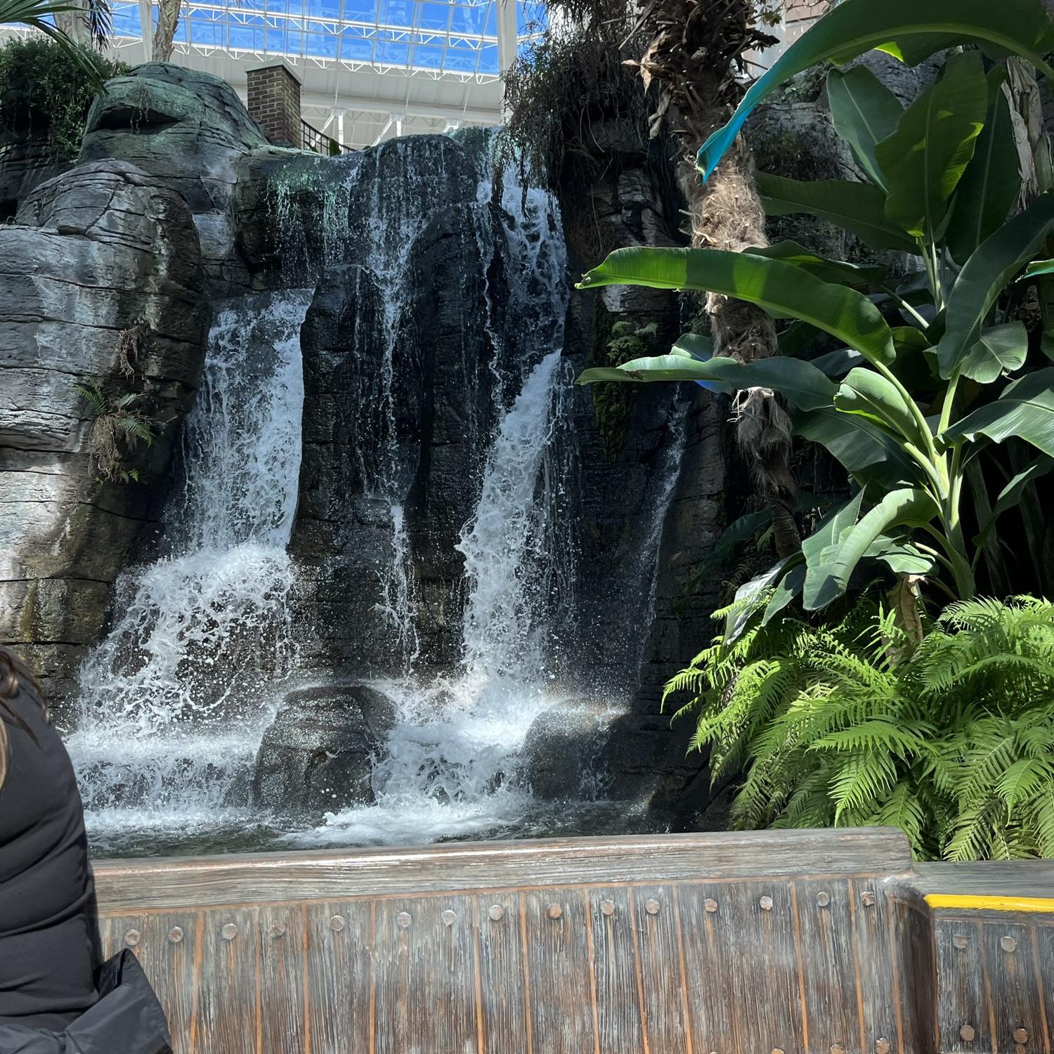 The Gaylord Hotel in Nashville!